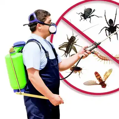 pest control Bella Villa